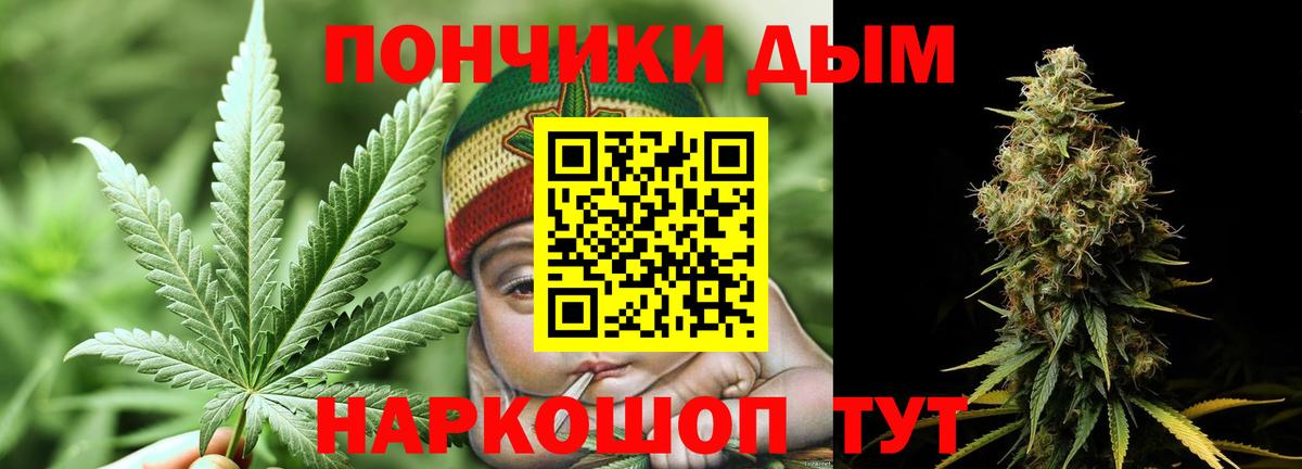Марихуана сатива Обнинск